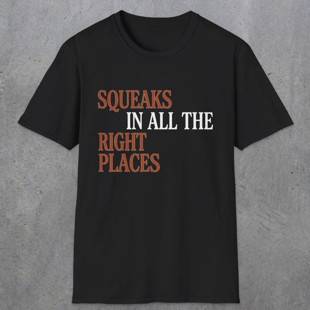 0044 Squeaks in all the right places | Funny Dad T-Shirt | RustyDad