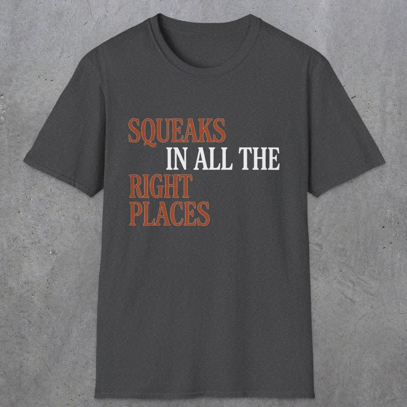 0044 Squeaks in all the right places | Funny Dad T-Shirt | RustyDad