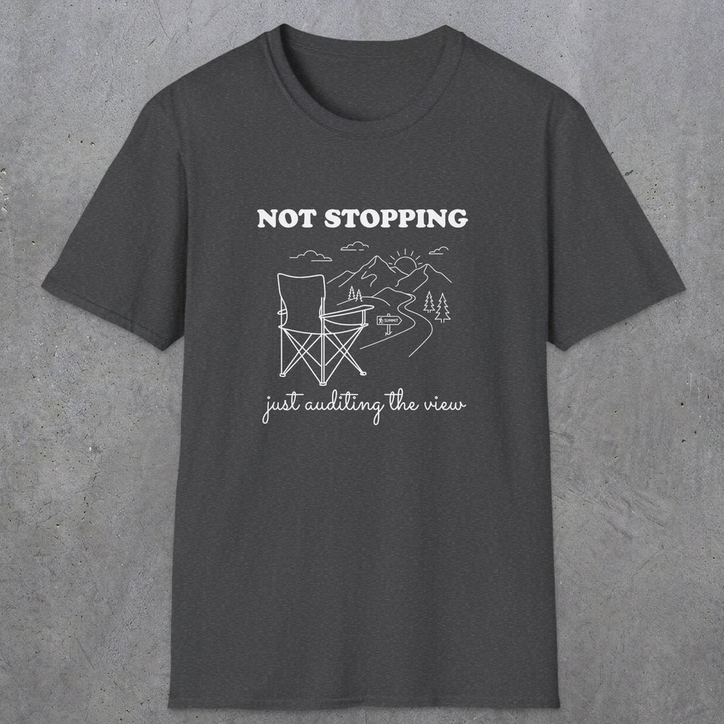 0108 Not stopping, just auditing the view | Funny Dad T-Shirt | RustyDad
