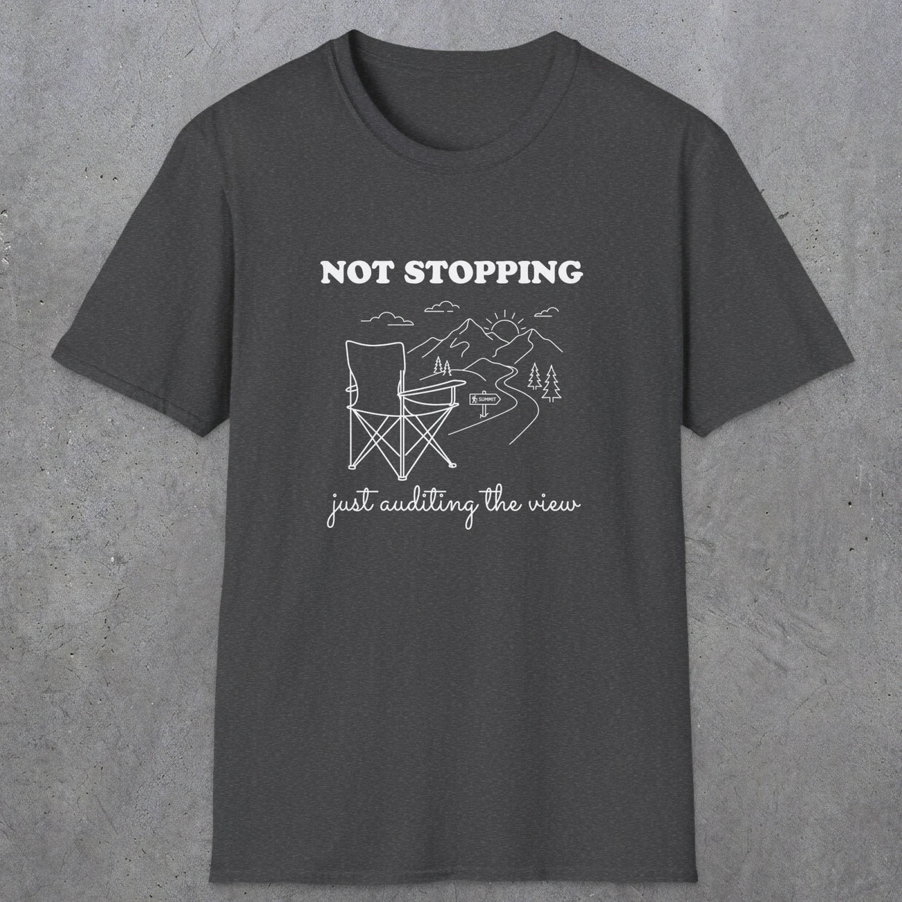 0108 Not stopping, just auditing the view | Funny Dad T-Shirt | RustyDad