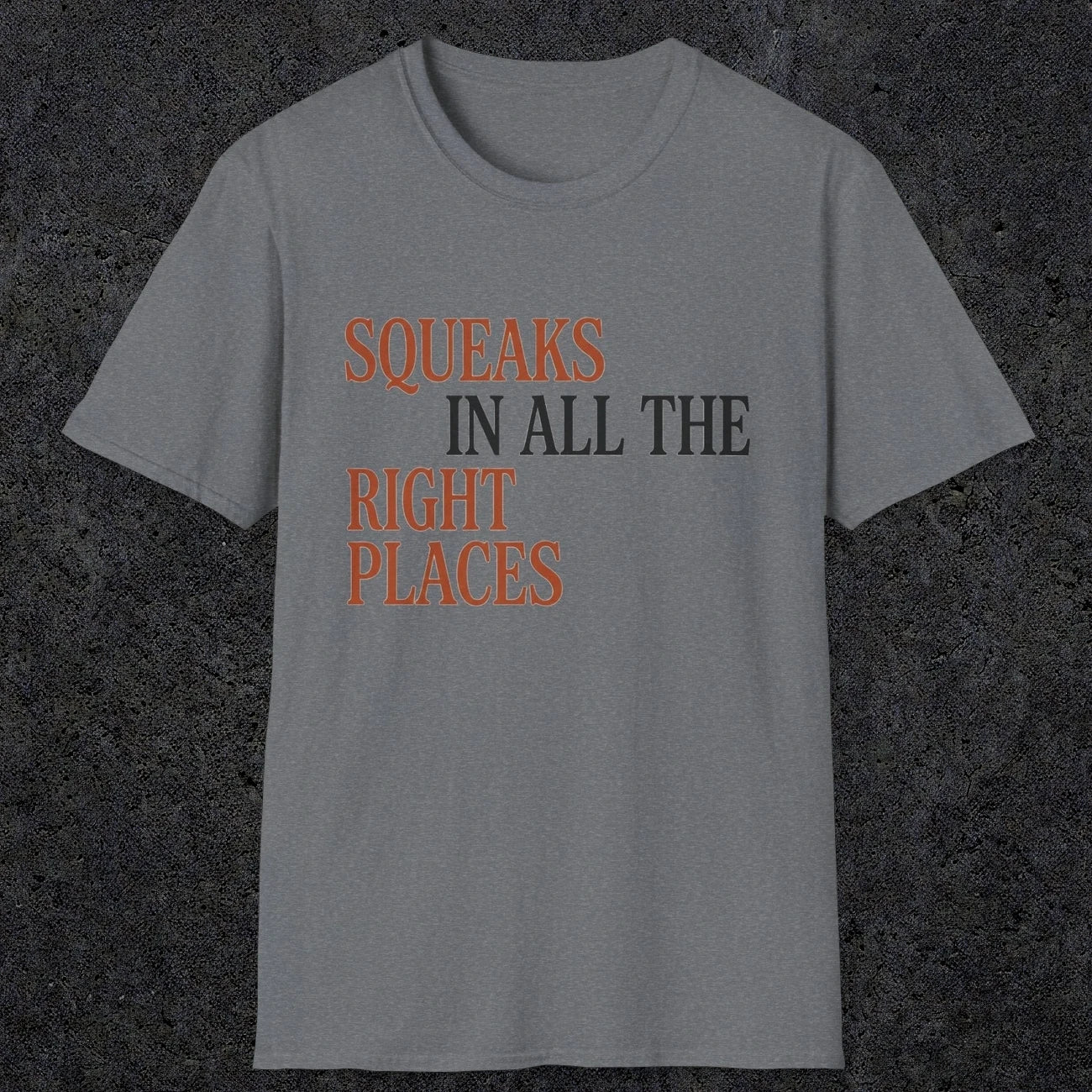 0044 Squeaks in all the right places | Funny Dad T-Shirt | RustyDad