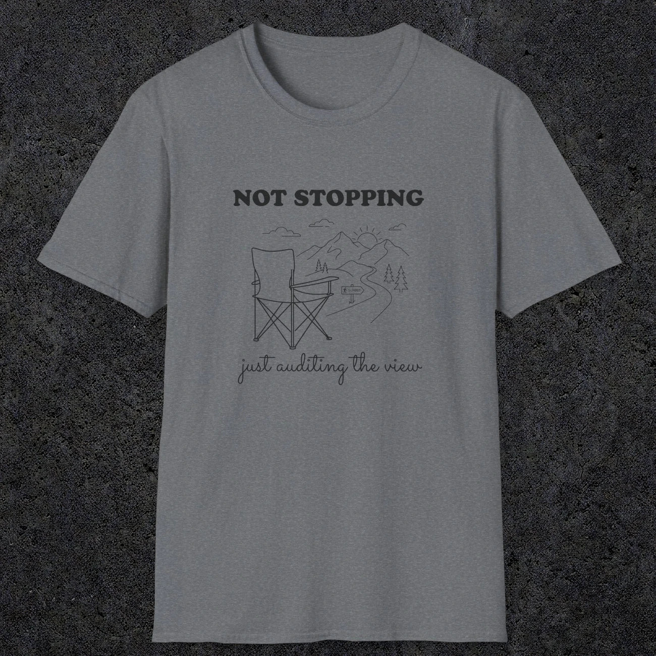0108 Not stopping, just auditing the view | Funny Dad T-Shirt | RustyDad