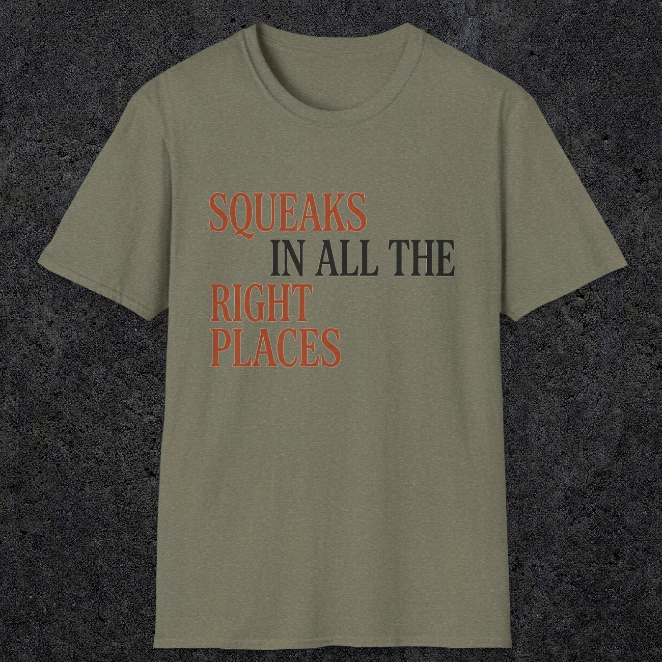 0044 Squeaks in all the right places | Funny Dad T-Shirt | RustyDad