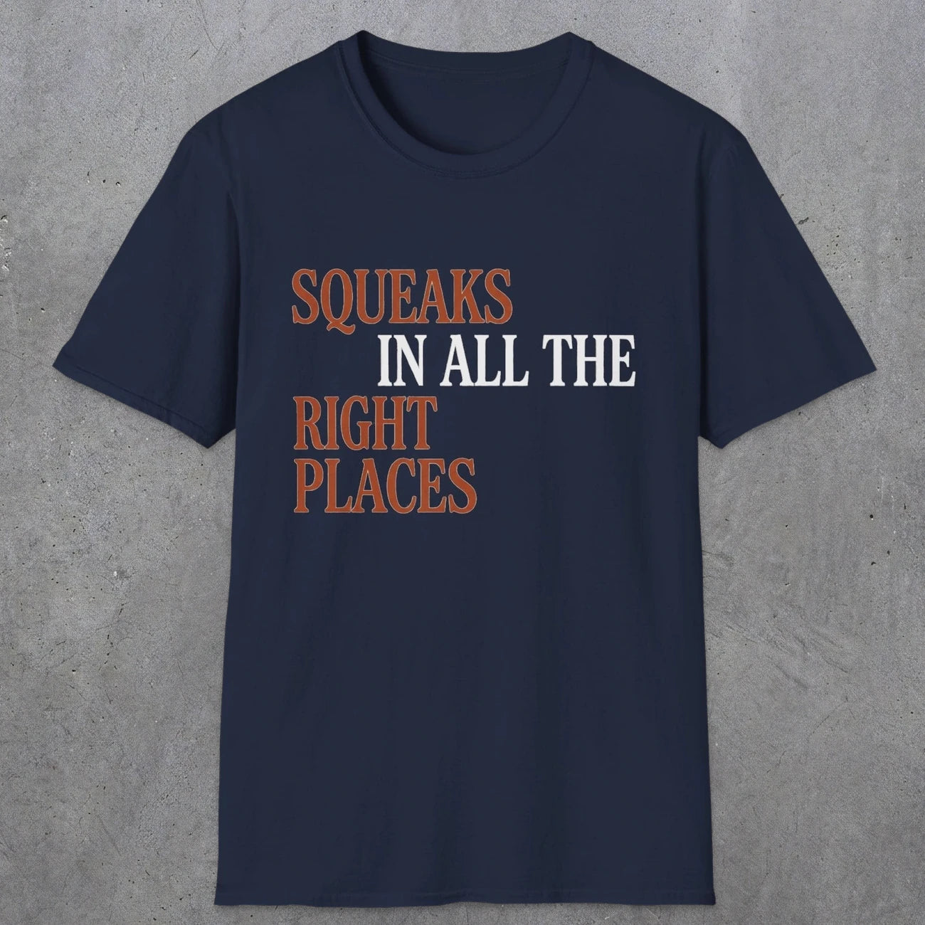 0044 Squeaks in all the right places | Funny Dad T-Shirt | RustyDad