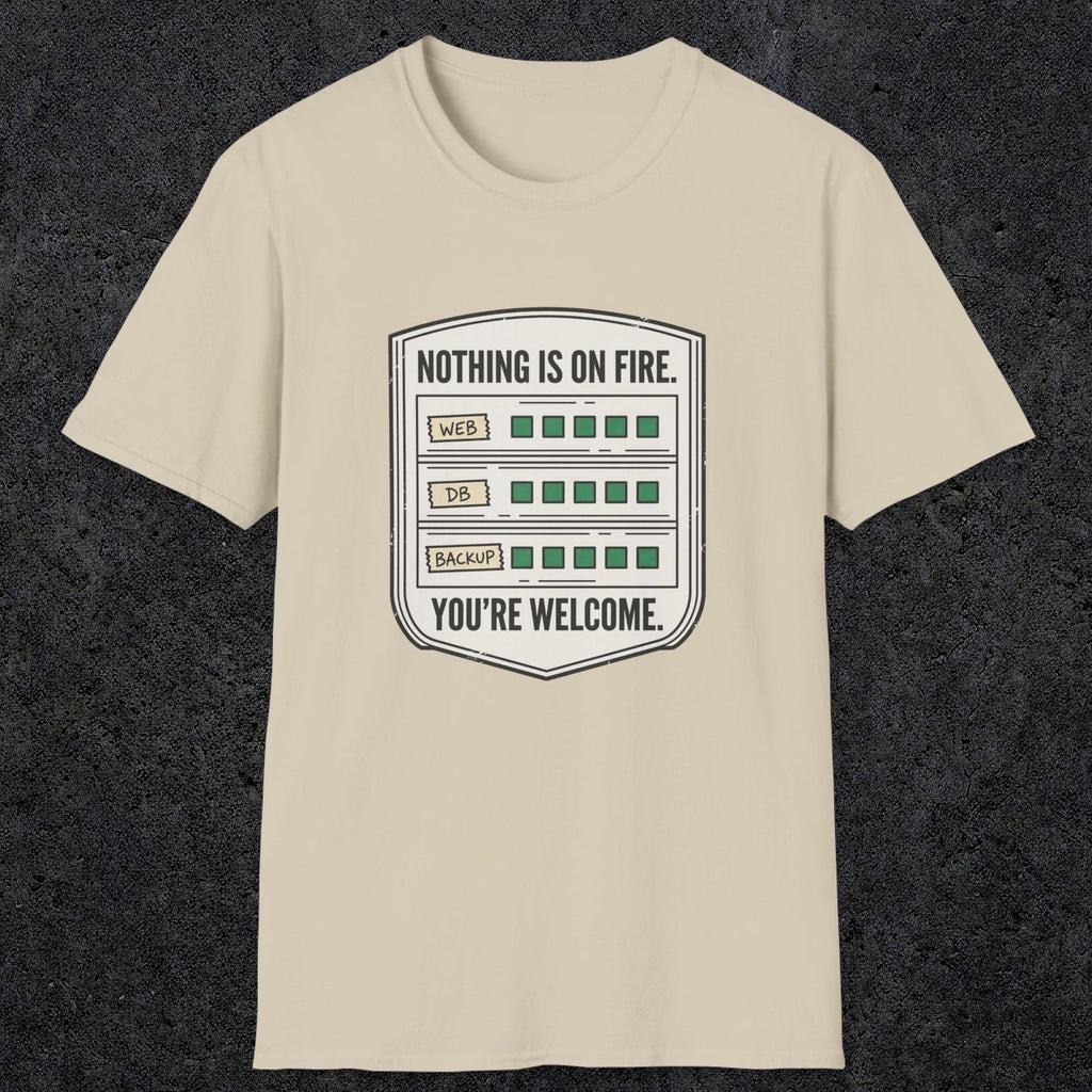 0121 Nothing Is On Fire Youre Welcome | Funny Dad T-Shirt | RustyDad