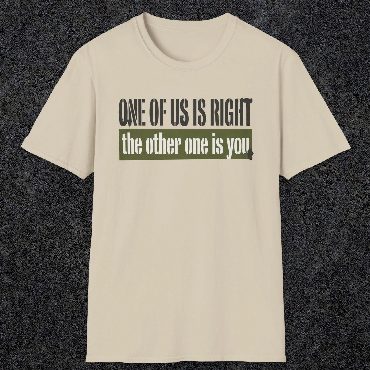0437 One Of Us Is Right. The Other One Is You | Funny Dad T-Shirt | RustyDad