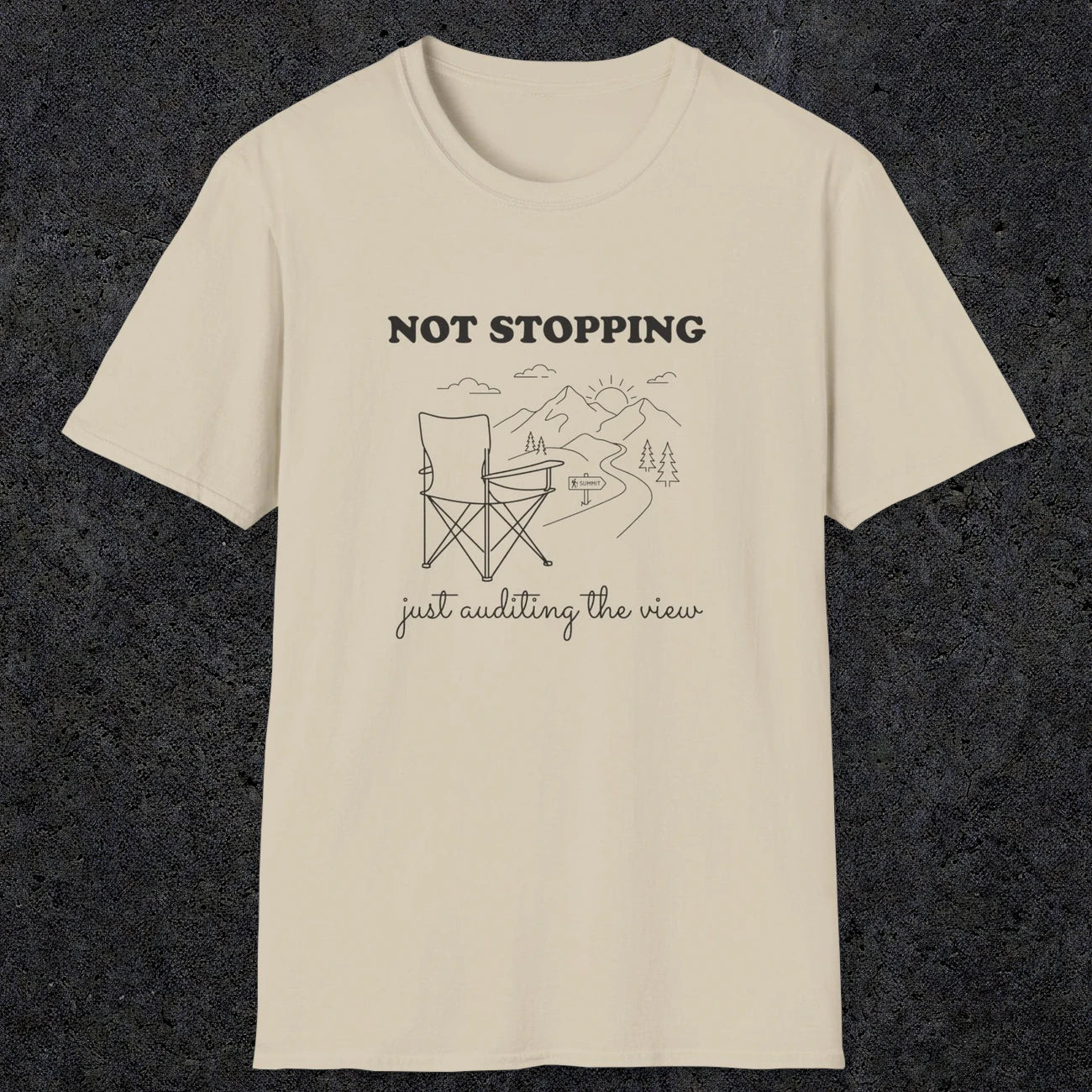 0108 Not stopping, just auditing the view | Funny Dad T-Shirt | RustyDad