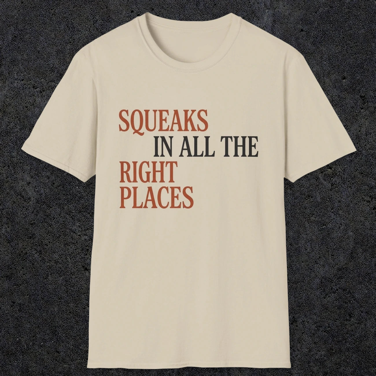 0044 Squeaks in all the right places | Funny Dad T-Shirt | RustyDad
