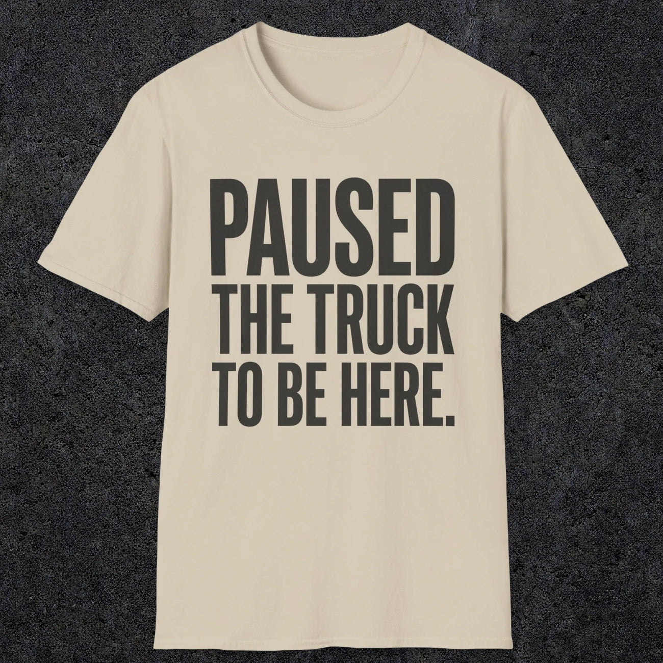 0343 Paused The Truck To Be Here | Funny Dad T-Shirt | RustyDad