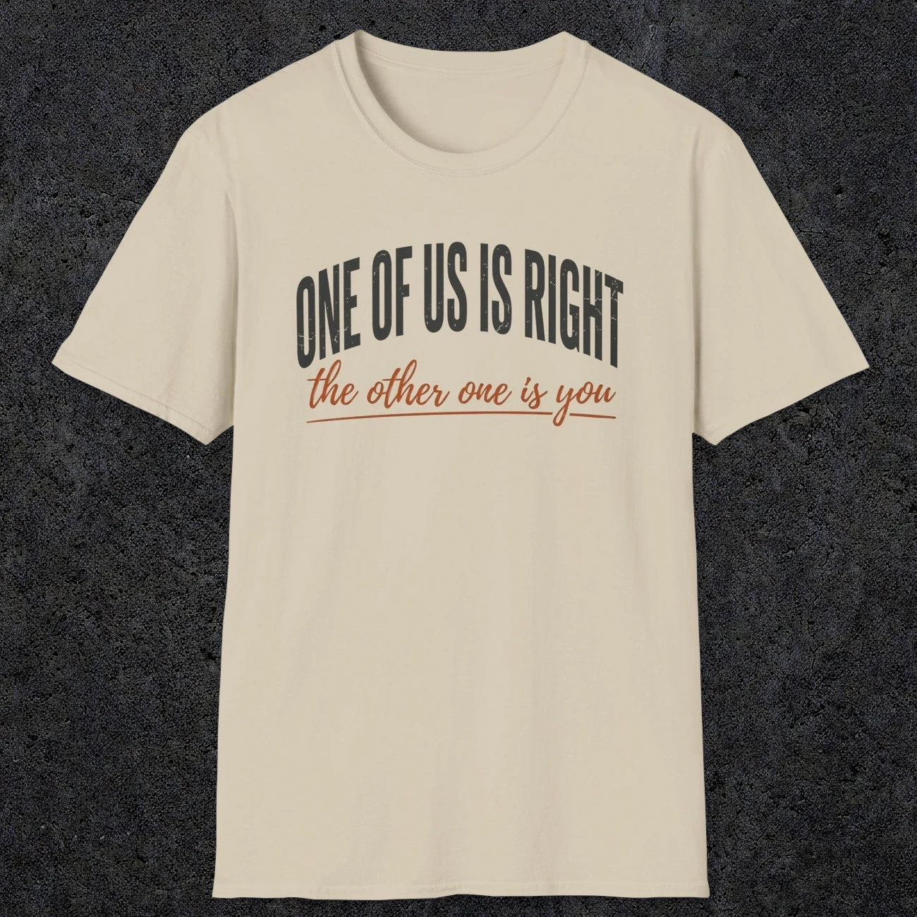 0438 One Of Us Is Right. The Other One Is You | Funny Dad T-Shirt | RustyDad