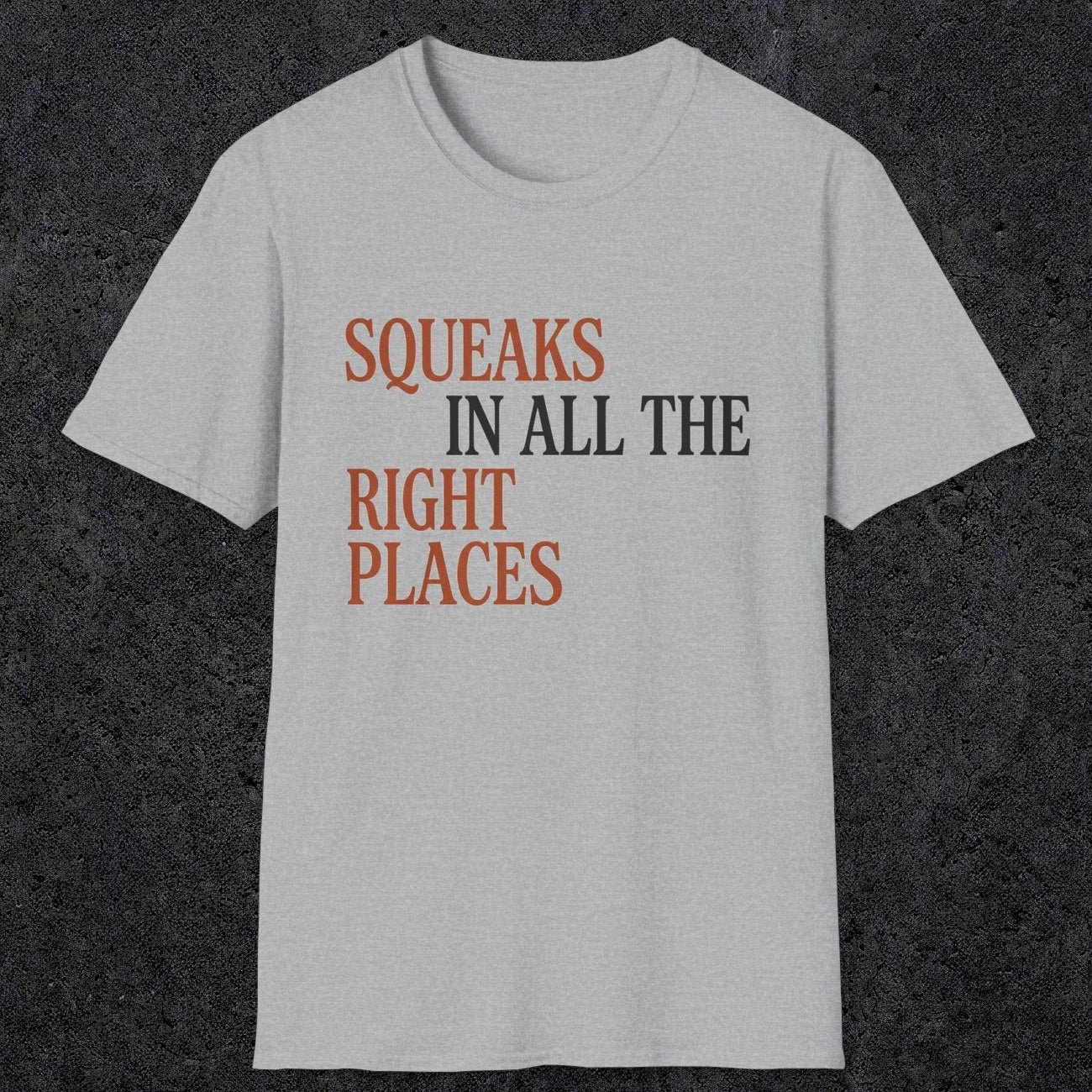 0044 Squeaks in all the right places | Funny Dad T-Shirt | RustyDad