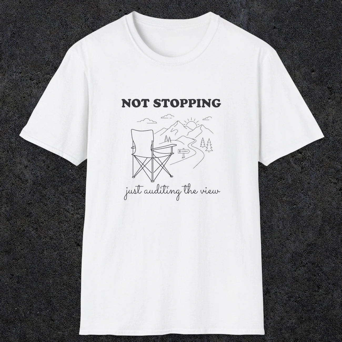 0108 Not stopping, just auditing the view | Funny Dad T-Shirt | RustyDad